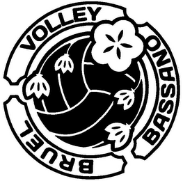 BRUEL VOLLEY BASSANO logo