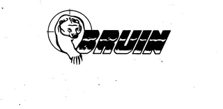 BRUIN logo
