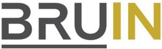 BRUIN logo