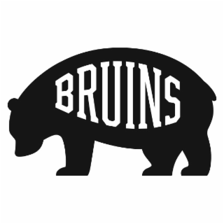 BRUINS logo