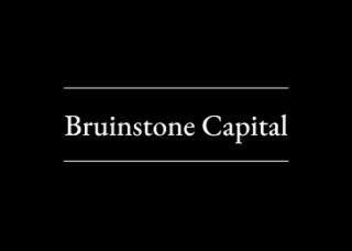 BRUINSTONE CAPITAL logo