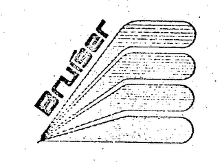 BRUISER logo