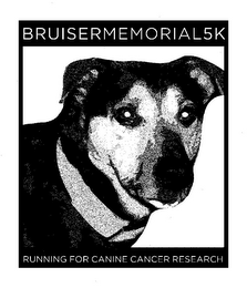 BRUISERMEMORIAL5K RUNNING FOR CANINE CANCER RESEARCH logo