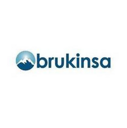BRUKINSA logo