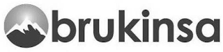 BRUKINSA logo