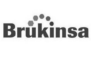 BRUKINSA logo