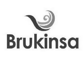 BRUKINSA logo