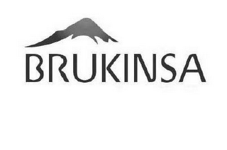BRUKINSA logo
