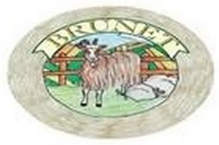 BRUNET logo