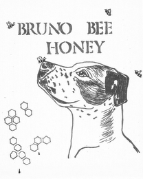 BRUNO BEE HONEY logo