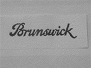 BRUNSWICK logo