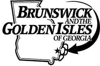 BRUNSWICK AND THE GOLDEN ISLES OF GEORGIA logo