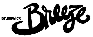 BRUNSWICK BREEZE logo