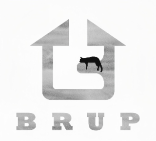 BRUP logo