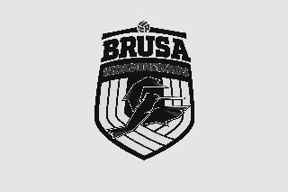 BRUSA HUMMINGBIRDS logo