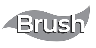 BRUSH logo