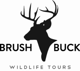 BRUSH BUCK WILDLIFE TOURS logo