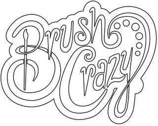 BRUSH CRAZY logo