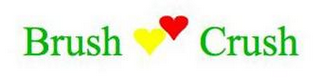 BRUSH CRUSH logo