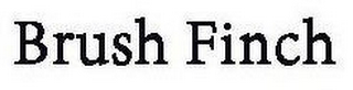 BRUSH FINCH logo