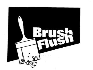 BRUSH FLUSH logo