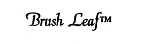 BRUSH LEAF logo
