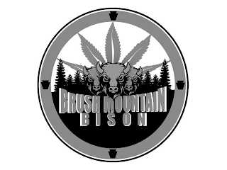 BRUSH MOUNTAIN BISON logo