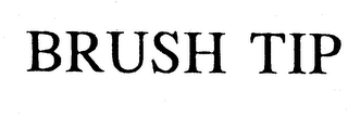BRUSH TIP logo