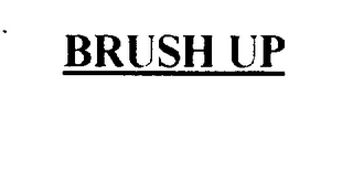 BRUSH UP logo