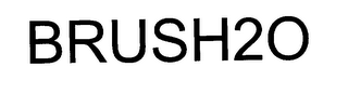 BRUSH20 logo