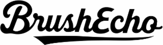 BRUSHECHO logo