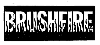 BRUSHFIRE logo