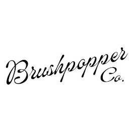 BRUSHPOPPER CO. logo