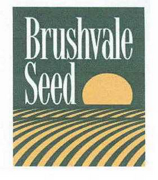 BRUSHVALE SEED logo