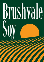 BRUSHVALE SOY logo