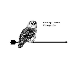 BRUSHY CREEK VINEYARDS logo