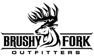 BRUSHY FORK OUTFITTERS logo