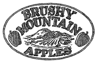 BRUSHY MOUNTAIN APPLES logo