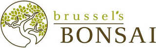 BRUSSEL'S BONSAI logo
