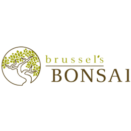 BRUSSEL'S BONSAI logo