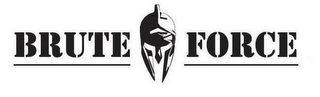 BRUTE FORCE logo