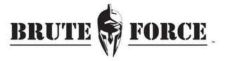 BRUTE FORCE logo