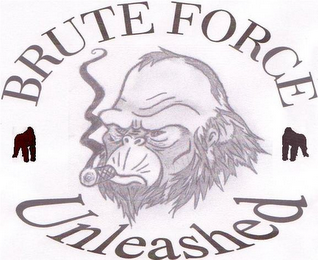 BRUTE FORCE UNLEASHED logo