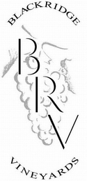 BRV BLACKRIDGE VINEYARDS logo