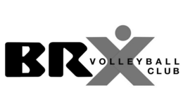 BRX VOLLEYBALL CLUB logo