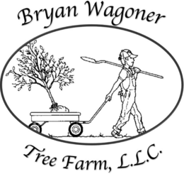 BRYAN WAGONER TREE FARM, L.L.C. logo