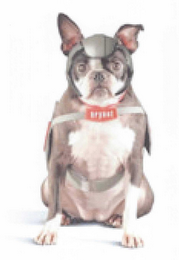 BRYANT logo