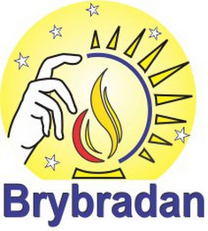 BRYBRADAN logo