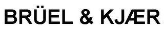BRÜEL & KJÆR logo