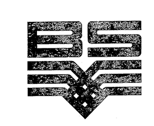 BS logo